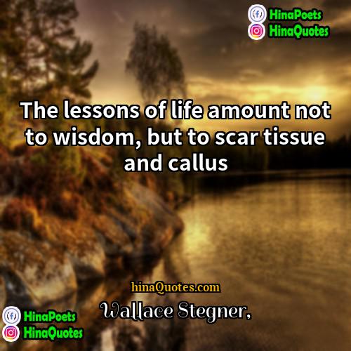 Wallace Stegner Quotes | The lessons of life amount not to